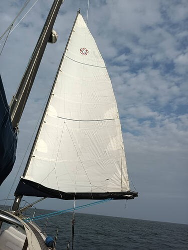 IMG_20241016_104353_562