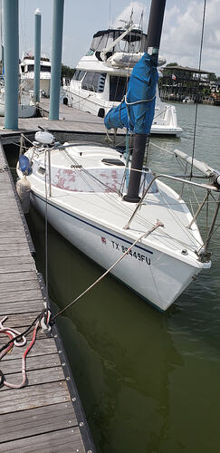 Tillotson 21 (3)