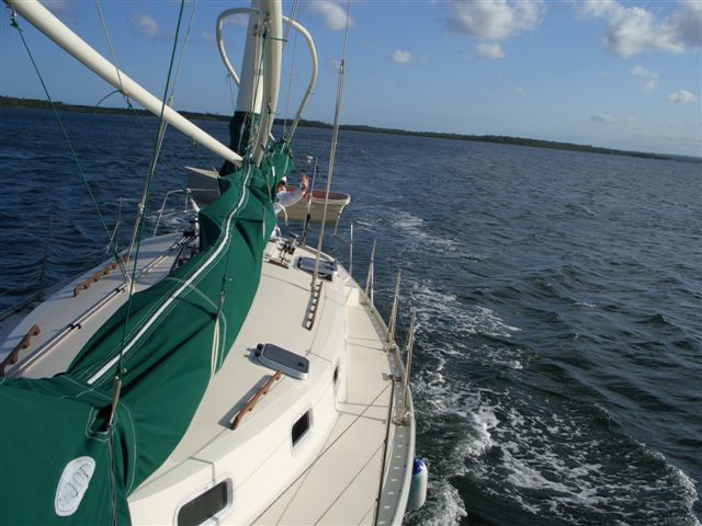 Night Wing Tin Can Bay 041107 014.jpg