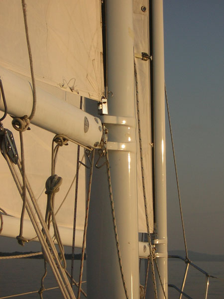 new_masts.jpg