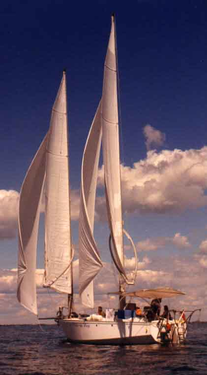 Rear_View_4_Sails.JPG