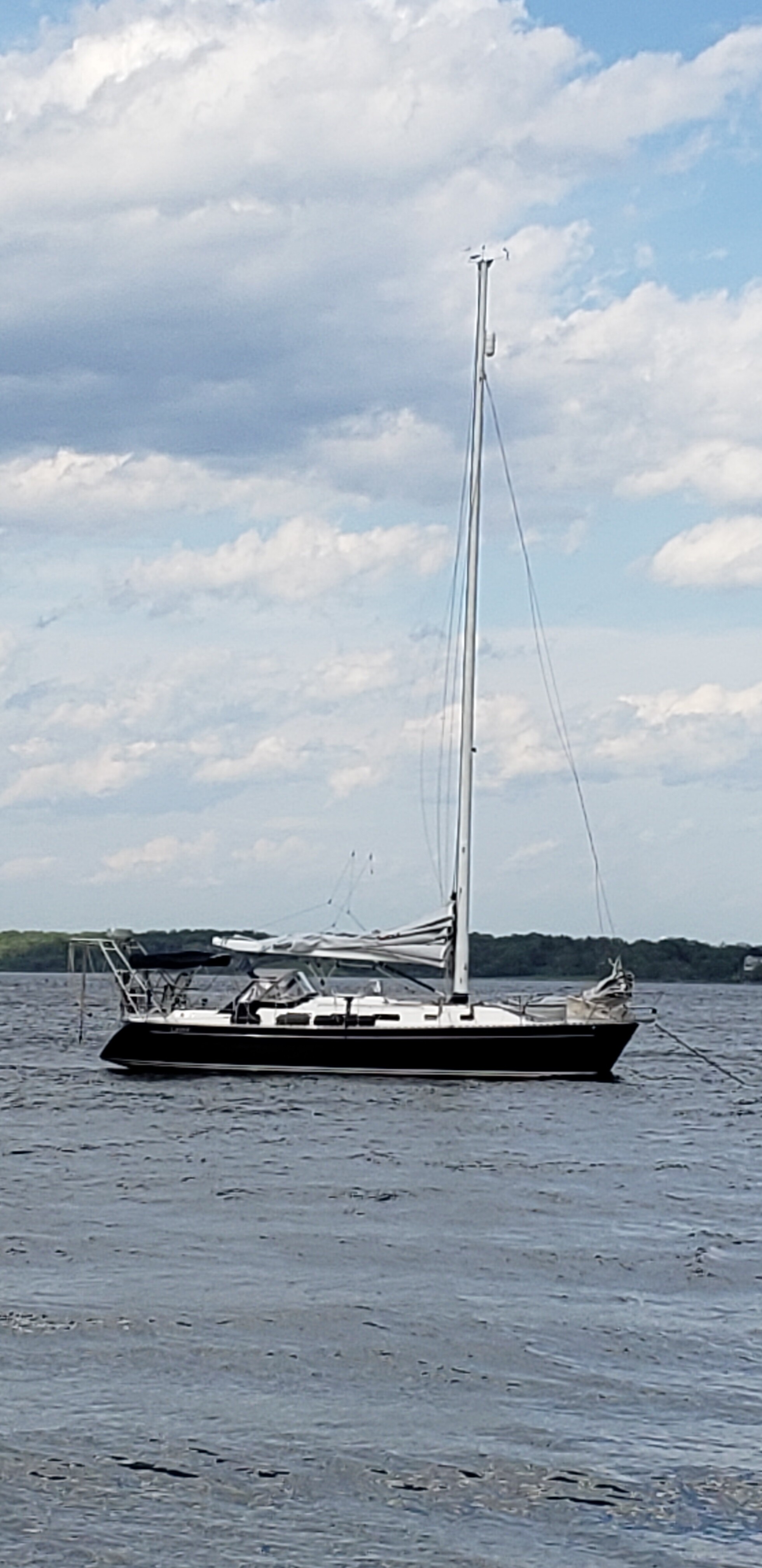 20190526_164938.jpg