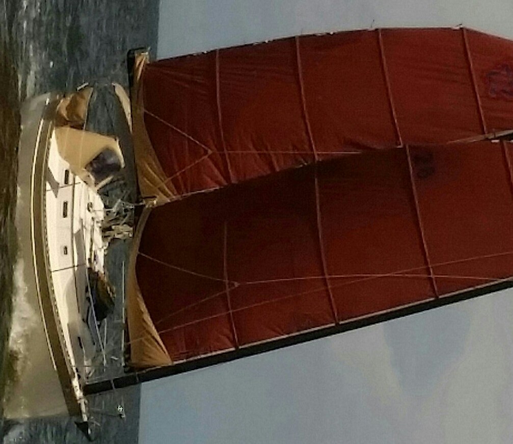 wings 28 ck B005.jpg