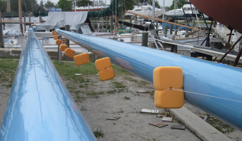 Sponge PIc -- 2010-05-03_1623-blue-0299 ds.jpeg