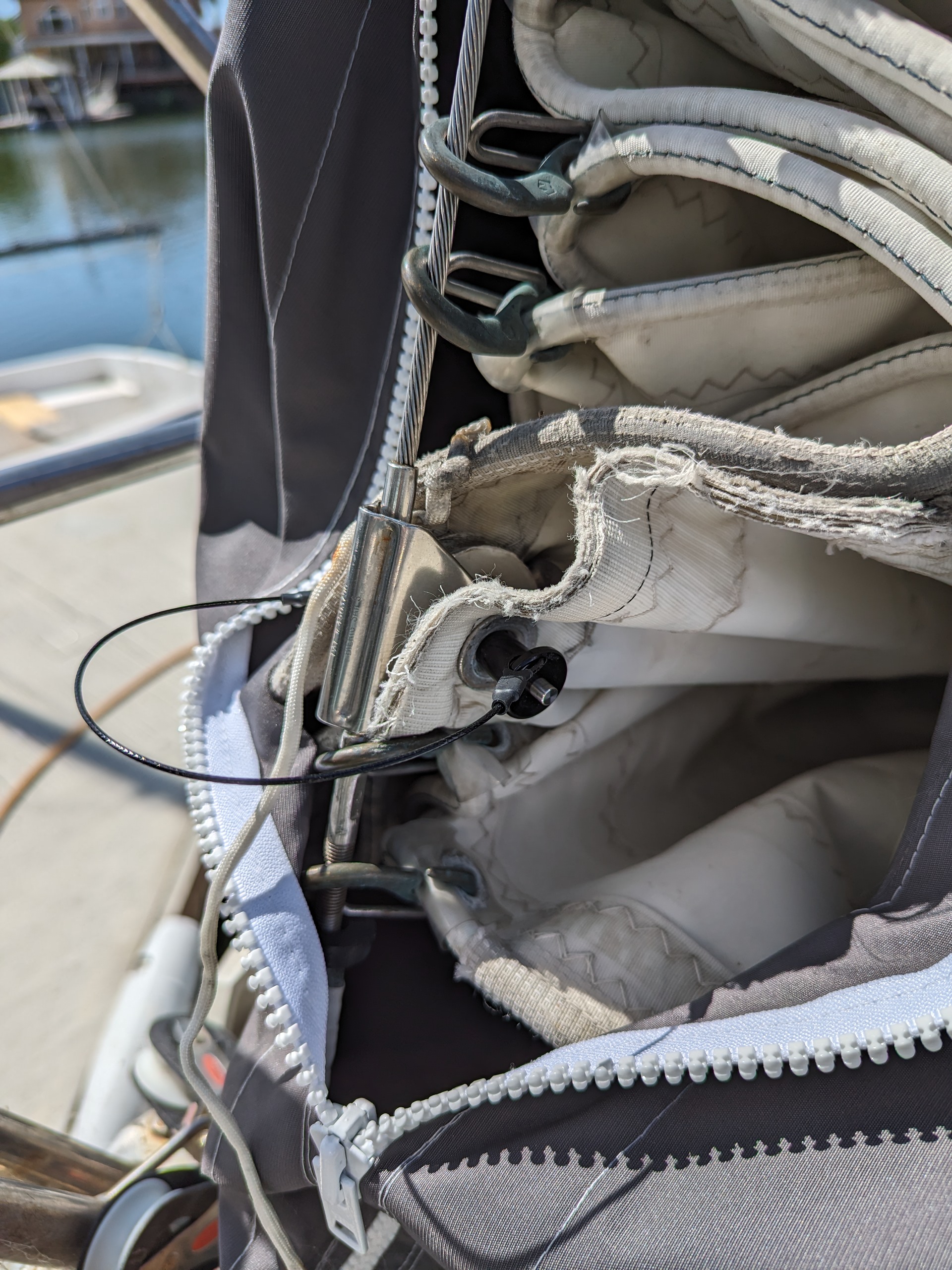 PXL_20230622_173130535 (1).jpg