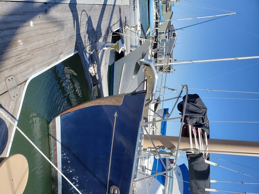 Bow 2.jpg