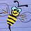 Pacific_Bee